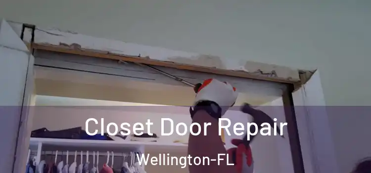 Closet Door Repair Wellington-FL