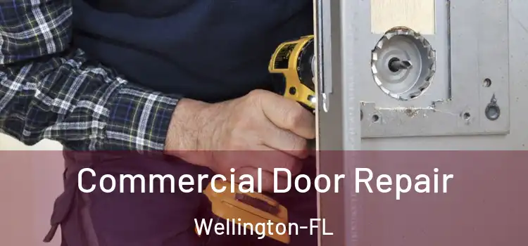  Commercial Door Repair Wellington-FL