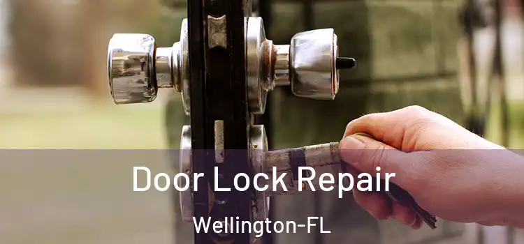  Door Lock Repair Wellington-FL
