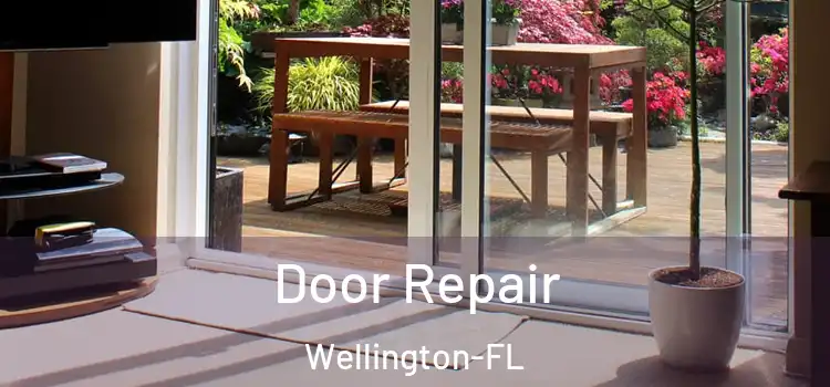  Door Repair Wellington-FL