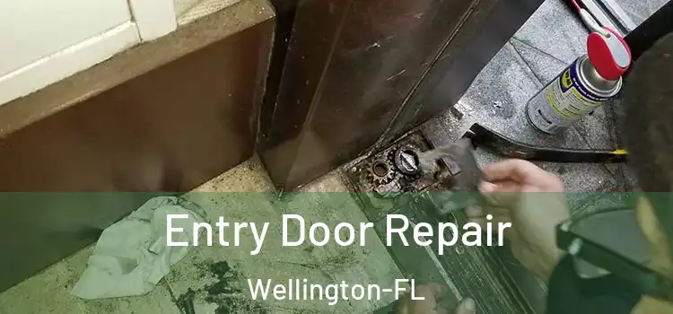  Entry Door Repair Wellington-FL
