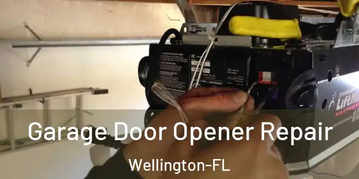  Garage Door Opener Repair Wellington-FL
