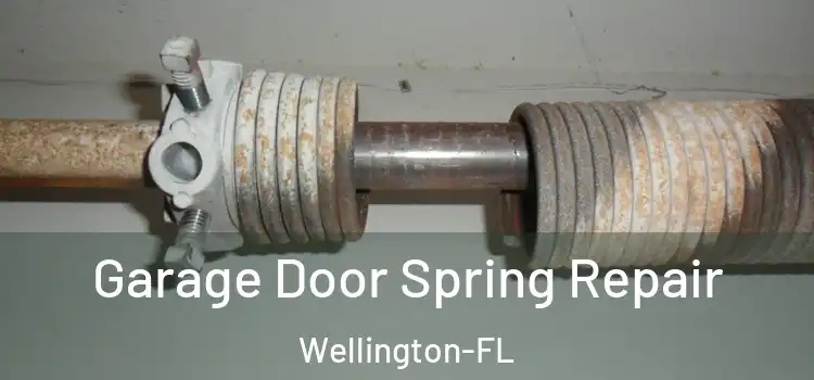  Garage Door Spring Repair Wellington-FL