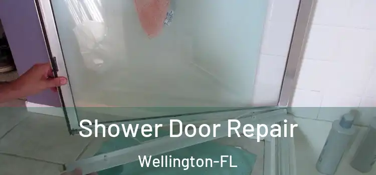  Shower Door Repair Wellington-FL